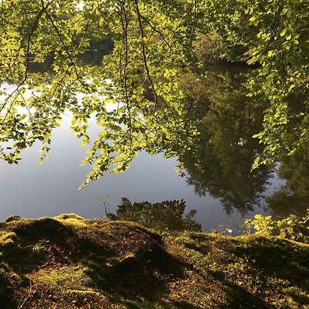 Klosterhotel Walkenried Kültér fotó