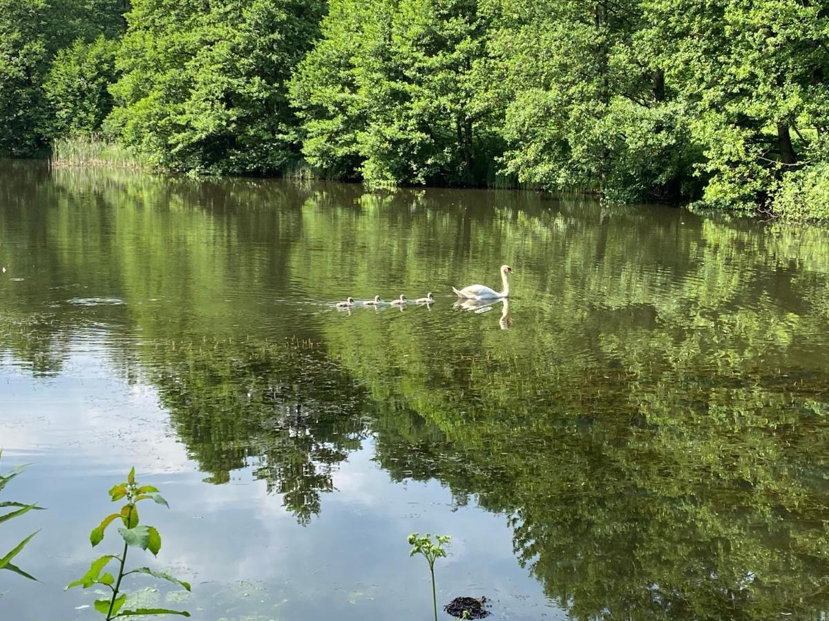 Klosterhotel Walkenried Kültér fotó
