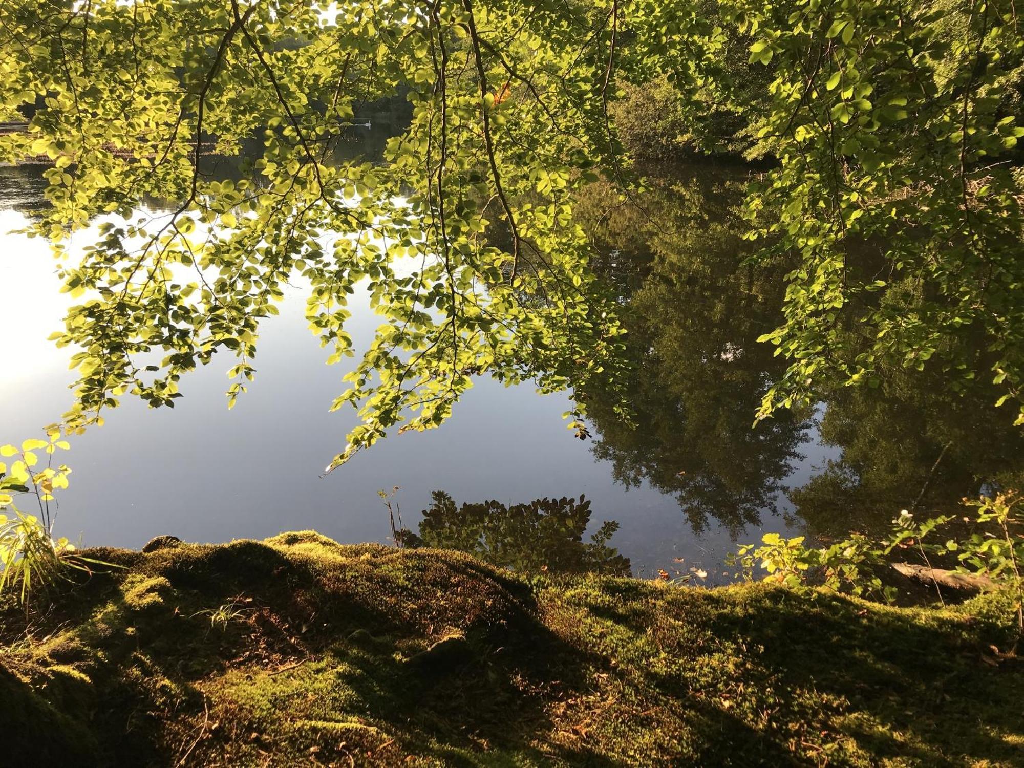 Klosterhotel Walkenried Kültér fotó